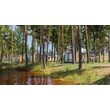 Без названия