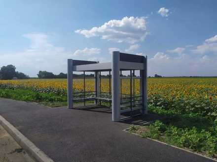 Остановочные комплексы